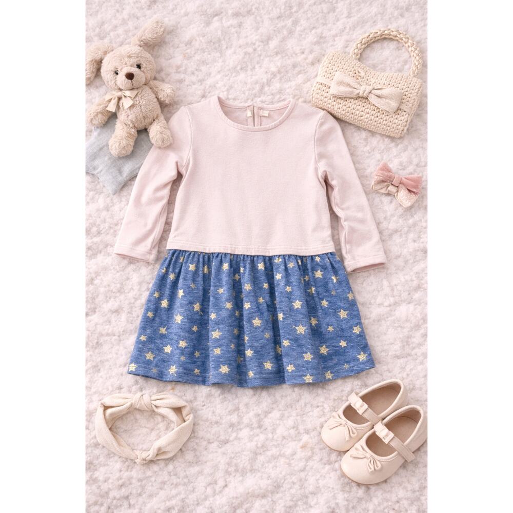 EGG Baby Girl Blush Pink & Blue Star Skirt Long Sleeve Casual Dress Size 2T